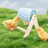Chicken Coop Accessories, Beak Grinding Calcium Stone with Wooden Stand, Chicken Enrichment Toys, Toys for Hens, Ducks, Geese, Turkeys, Poultry, Blue In Australia - Darrahopens