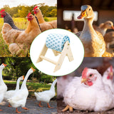 Chicken Coop Accessories, Beak Grinding Calcium Stone with Wooden Stand, Chicken Enrichment Toys, Toys for Hens, Ducks, Geese, Turkeys, Poultry, Blue In Australia - Darrahopens