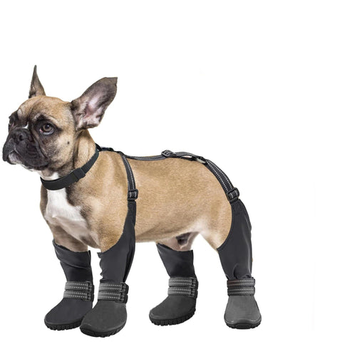 Dog Suspender Boots, Waterproof Dog Rain Boots, Puppy Snow Shoes for Winter, Anti Dirt Pants with Shoes, Adjustable Suspender Pants for Outdoor Walking & Paw Protectors (size 2, Black) In Australia - Darrahopens