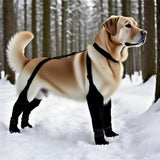 Dog Suspender Boots, Tall Dog Boots Anti-Slip & Fall Waterproof Shoes Leggings, Adjustable Suspender Boots for Dogs Winter Snow Rain Hiking Paws Protector(Black, 5:XL) In Australia - Darrahopens