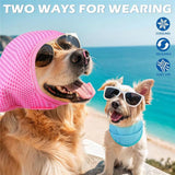 Dog Cooling Bandana - 2 Pack Instant Cooling Dog Bandanas, Chill Out Pet Cool Scarf Summer Essentials Ice Neck Cooler Wrap, Prevent Sunstroke for Small Medium Large Dogs (M) In Australia - Darrahopens