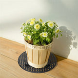 6 Pcs Big Potted Plant Stands - 12 Inch Patio & Deck Floor Protector,Plant Level Pot Elevator for Indoor Outdoor Garden Flower（Excluding flowers and flower pots） In Australia - Darrahopens