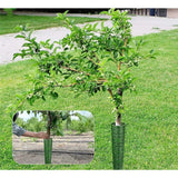 8 PCS plastic Tree Trunk Protector,Resizable New Tree Protection Fence Tubes Tree Guard Bark Plant Protectors | Protects Against Sun Scald, Squirrel, Mowers, Trimmers, Animals In Australia - Darrahopens