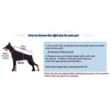 Waterproof Dog Raincoat with Hood for Small Dogs Rain Poncho Jumpsuit with Rain Boots Puppy Hooded Slicker Rainwear Four-Legged Pet Rain Jacket for Walking（16）