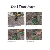 6 Pcs Plastic Box 3.9" x 4.7" x 4.7" ,Reusable Beer Bait Snail Catchers with Pentagonal Lid, Plastic Slug Houses for Outdoor Garden, Vegetable Beds, Farm(Green)