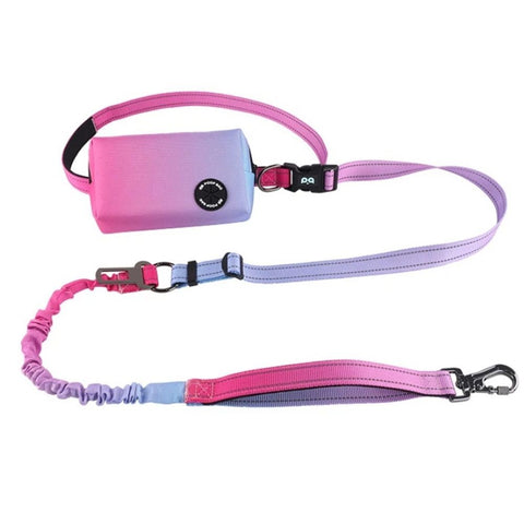 Hands Free Dog Leash with Zipper Pouch, Bungee Waist Leash for Medium Large Dogs Walking, Running Lead with Padded Handles Car Safety Buckle for Training Jogging