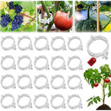 200Pcs Secured Plastic Plant Clips, New Combinable Plant Support Clips, Plant Clips for Climbing Plants, Tomato Grape Vine Vegetables Fixing Clips, Plant Clips for Trellis & Peony Cages（White）