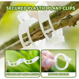 200Pcs Secured Plastic Plant Clips, New Combinable Plant Support Clips, Plant Clips for Climbing Plants, Tomato Grape Vine Vegetables Fixing Clips, Plant Clips for Trellis & Peony Cages（White）