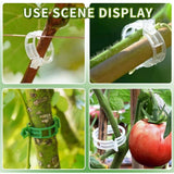 200Pcs Secured Plastic Plant Clips, New Combinable Plant Support Clips, Plant Clips for Climbing Plants, Tomato Grape Vine Vegetables Fixing Clips, Plant Clips for Trellis & Peony Cages（White）