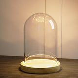 Glass niche dome with wooden LED lamp base, transparent display dome, countertop glass niche display cabinet, small statue, souvenir, plant, ideal gift（12*22cm）