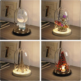 Glass niche dome with wooden LED lamp base, transparent display dome, countertop glass niche display cabinet, small statue, souvenir, plant, ideal gift（12*22cm）