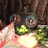 2pcs Reptile Thermometer Hygrometer, Mini Round Shape Dual Dial Thermometer and Humidity Gauge for Reptile Lizard Tortoise Spider Pet Rearing Box In Australia - Darrahopens