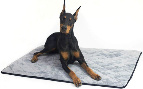 Extra Large Dog Crate Mat – Waterproof, Non-Slip, Machine Washable Crate Mat – Soft, Durable Kennel Mat for Dogs – Pet Bed for Crates, Travel or Home Use - Extra Large (Grey)