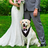 Formal Dog Tuxedo, Wedding Dog Collar with Bow Tie, Adjustable Pet Wedding Collar Bandana for Small Medium Large Dogs Large In Australia - Darrahopens