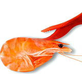 4Pcs Crab Legs Crackers - Crackers Picks Tools Set for Lobster, Crab, Crawfish, Prawns, Shrimp, Easy Opener Shellfish