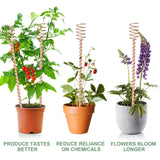 8pcs Electroculture Plant Stakes Copper Gardening Antenna Clockwise Wound Copper Coil Electronic Planting for Outdoor Indoor
