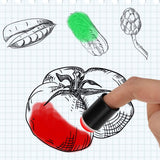 40pcs Finger Painting Brush Foam Painting Dabbers Card Making Tools Stamps Paint Finger Stamp Pad Ink Pad Craft Ink In Australia - Darrahopens