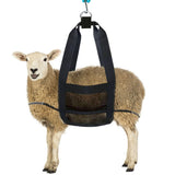 Calf Sling for Weighing Animals, Lamb Scale Hanging Weight Scale Sling with D-Ring Adjustable for Weighing Lamb Baby Alpaca In Australia - Darrahopens