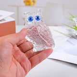 Owl Gifts Crystal Figurines Collectible Paperweight Clear Owl Gifts for Women, Owl Decor for Home Birthday for Owl Lovers In Australia - Darrahopens