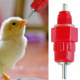 30 Pack Automatic Chicken Waterer Poultry Water Nipple Drinker Feeders Hen Duck Screw Style Chicken drinking ball valve In Australia - Darrahopens