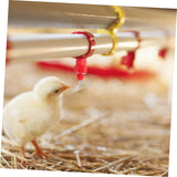 30 Pack Automatic Chicken Waterer Poultry Water Nipple Drinker Feeders Hen Duck Screw Style Chicken drinking ball valve In Australia - Darrahopens