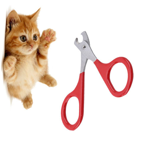 Pet Nail Clippers, Cat and Kitten Claw Nail Clippers for Trimming, Professional Pet Nail Clippers Best for A Cat, Puppy In Australia - Darrahopens
