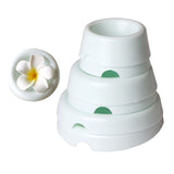 4 Forming Cups Button Shaped Drying Holder Sugar Flower Fondant Gumpaste Chocolate Forming Shaping Mold Cake In Australia - Darrahopens