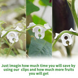 20 PCS Low-Pressure Plant Training Clip,Plant Training Clips Plant Bud Bender, Gentle Plant Clips(White) In Australia - Darrahopens