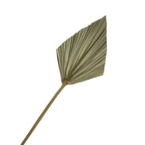 4 Pieces Natural Dried Palm Spears Small Dried Palm Fans for Flower Bouquet Boho Wedding Home Party Kitchen Vase Farmhouse In Australia - Darrahopens