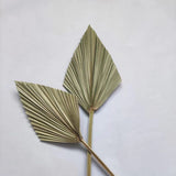 4 Pieces Natural Dried Palm Spears Small Dried Palm Fans for Flower Bouquet Boho Wedding Home Party Kitchen Vase Farmhouse In Australia - Darrahopens
