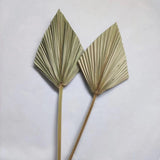 4 Pieces Natural Dried Palm Spears Small Dried Palm Fans for Flower Bouquet Boho Wedding Home Party Kitchen Vase Farmhouse