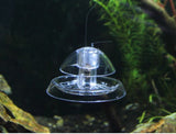 Snail Trap Plastic Aquarium Snail Trap for Fish Tank Clear Snail Catcher Fish Plants Leech Planarian Catch Box for Aquarium Fish