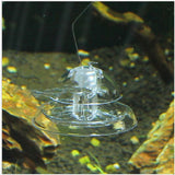 Snail Trap Plastic Aquarium Snail Trap for Fish Tank Clear Snail Catcher Fish Plants Leech Planarian Catch Box for Aquarium Fish