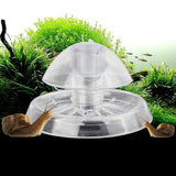 Snail Trap Plastic Aquarium Snail Trap for Fish Tank Clear Snail Catcher Fish Plants Leech Planarian Catch Box for Aquarium Fish