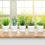 5 Pack Plastic Flower Pot Indoor Outdoor Modern Decorative Plant Pots with Drainage Hole and Tray for Office Desk Home Garden