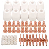 Plasma Cutting Torch Consumables, PT31 Consumables Plasma Cutter Accessories, Electrode Tips Cup Kit 60 PCS (PT31 parts)