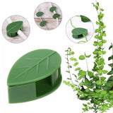 Plant Clips for Climbing Plants(of 24,Plant Climbing Wall Fixture Clips for Supporting Stems Grow Upright, Vines