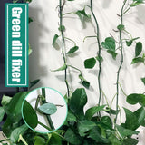 Plant Clips for Climbing Plants(of 24,Plant Climbing Wall Fixture Clips for Supporting Stems Grow Upright, Vines