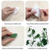 Plant Clips for Climbing Plants(of 24,Plant Climbing Wall Fixture Clips for Supporting Stems Grow Upright, Vines