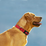 Reflective Dog Collar with Safety Locking Buckle, Adjustable Nylon Pet Collars for Large Dogs Female Male, Red, In Australia - Darrahopens