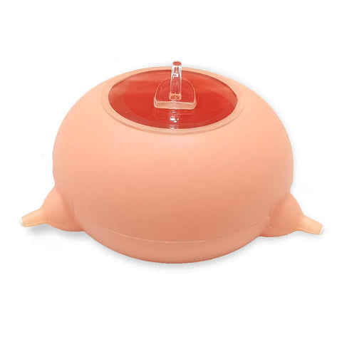 Puppy Kitten Feeder Milk Nipple, Puppy Bottles for Nursing with 3 Nipples, Puppy Feeders for Multiple Puppies Puppy