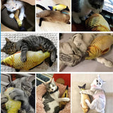 Creative Cat Toy 3D Fish Simulation Soft Plush Anti-Bite Catnip Interaction Chewing Fake Cat Fish Toy Pet Accessories