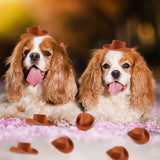 40Pcs brown Plastic Mini Western Cowboy Hat,Cute Miniature Doll Hats, Brown Party Dress Hat for Pretend Play Dollhouse Decoration