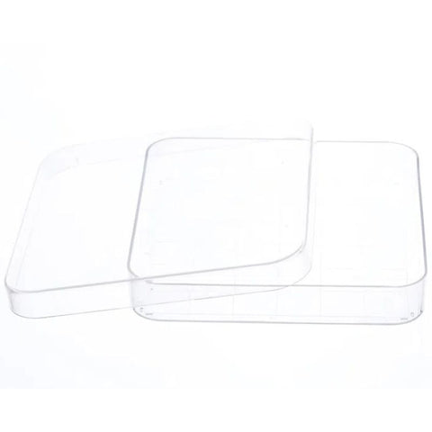 10pcs transparent Rectangular Plastic Petri Dish 100mmx100mm Pipettes for Culturing Cells and Other Scientific