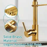 Polished Gold Kitchen Faucet with Pull Down Sprayer,Single Handle Spring Single Hole Faucet for Kitchen Sink