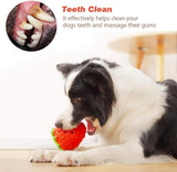 Strawberry Dog Toys, Dog Chew Toys for Aggressive chewers, Durable Puppy Feeder Toys, Interactive Dog Toys for Small Medium Large