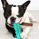 Stick Chewing Gum Dog Small Dog Chew Toys Puppy Dogman Toys Pet Toys Small Dog Toy Pet Teeth Supplies Toothbrush Pet Dog