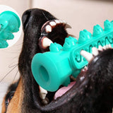 Stick Chewing Gum Dog Small Dog Chew Toys Puppy Dogman Toys Pet Toys Small Dog Toy Pet Teeth Supplies Toothbrush Pet Dog