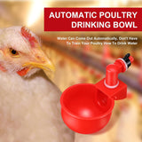 Chicken Watering Cup, Chicken Water Feeder, Thread Automatic Filling Waterer Poultry Drinking Bowl Chicken Feeder Cup In Australia - Darrahopens