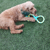 Interactive Dog Toys for Aggressive Chewers,Rope Toy for Dogs,Dog Toy Balls,Adjustable Food Dispensing Dog Toys to Keep Them Busy In Australia - Darrahopens